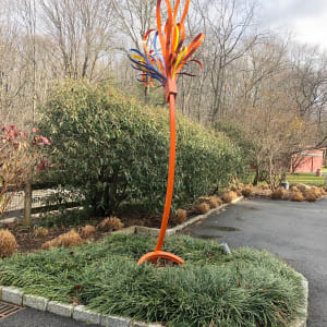 North Salem Squirt by Vivien  Collens 