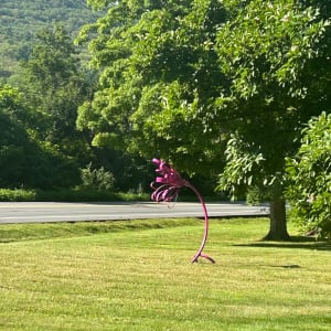 Fuschia Squirt. 2023. by Vivien  Collens 
