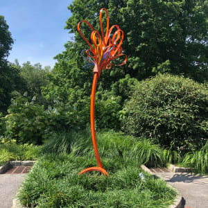 North Salem Squirt by Vivien  Collens 