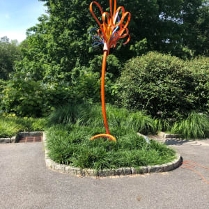 North Salem Squirt by Vivien  Collens 