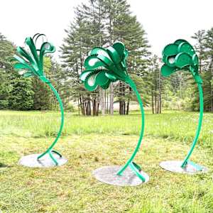 Windswept by Vivien  Collens 