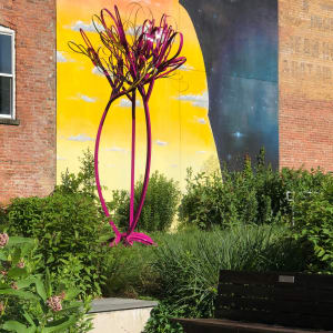 Newburgh Squirt by Vivien Collens 