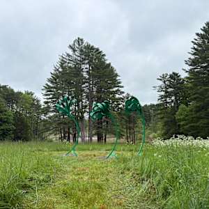 Green Squirt  from Windswept by Vivien  Collens 