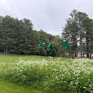 Green Squirt  from Windswept    ( 1 of 3 units, each slightly different) by Vivien  Collens 