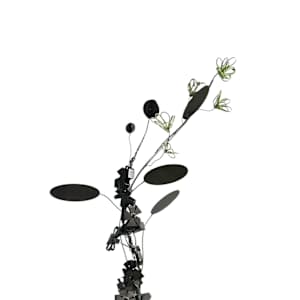 Entwined  x+y by Vivien  Collens 