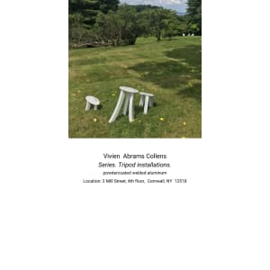 Tripod installation series by Vivien  Collens 