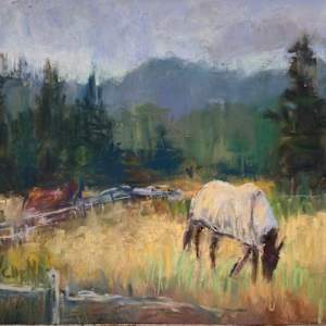 North Island Stables by Nanci Cook, PAC