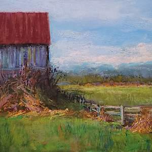 Comox Valley Barn by Nanci Cook, PAC