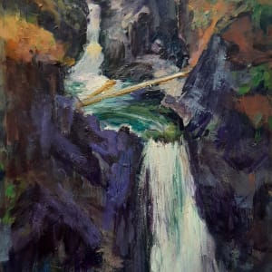 Little Qualicum Falls by Nanci Cook