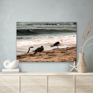 Shoreline Serenade by Kimberly Marnell 