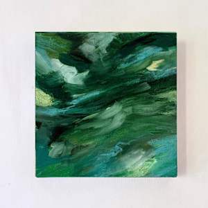 Canopy Covering by Lindsay English