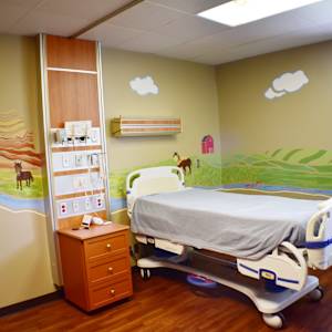 Pediatrics Room Mural, Sanford Vermillion Medical Center, SD by Lindsay English