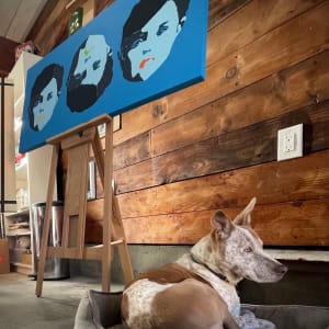 Gracie Blue by Sharon E. Smith 