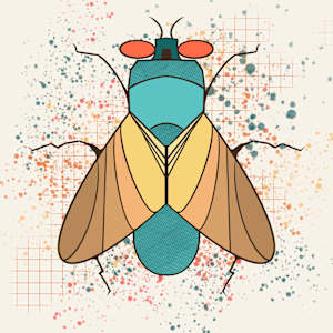 Fly by Sharon E. Smith