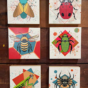 Ladybug by Sharon E. Smith 