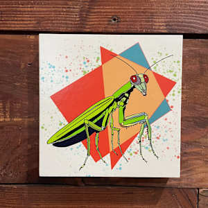 Praying Mantis by Sharon E. Smith 