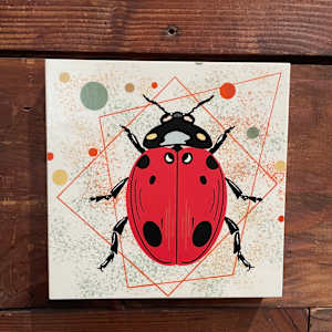 Ladybug by Sharon E. Smith 