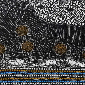 Ngapa- Water Dreaming by Janet Long Nakamarra 