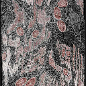 My Country by Anna Price Petyarre