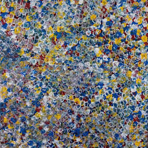 Bush plum Dreaming by Belinda Golder Kngwarreye