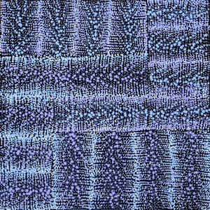 Bush Tomato Dreaming by Debbie Brown Napaljarri