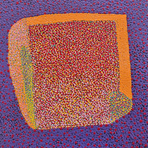 Bush Plum Dreaming by Josie Petrick Kemarre