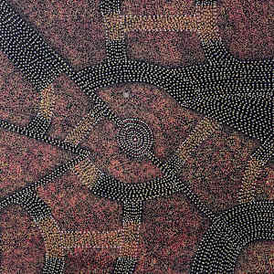 Bush plum Dreaming by Roseanne Morton Pwerle