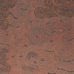 Ému Dreamind by Rosie Nampitjinpa