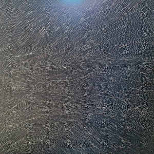 Mina Mina by Dorothy Napangardi