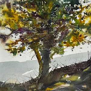 The Center of Eden by Steve Griggs Watercolor