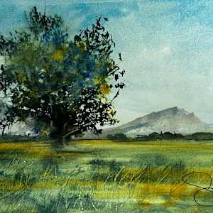 The Introvert by Steve Griggs Watercolor