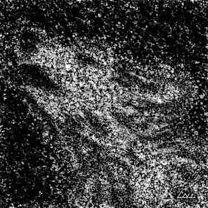 Gather - Fragments of Starlight by David Herman, Image 1.