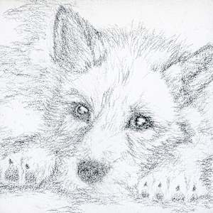 Raise - Resting Young by David Herman, Image 1.