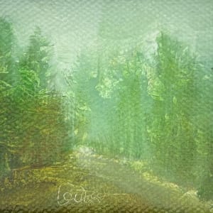 Back Country by Jeanne Levasseur 