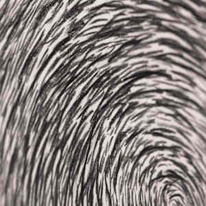 Spiral by Jo Davis, Image 3.