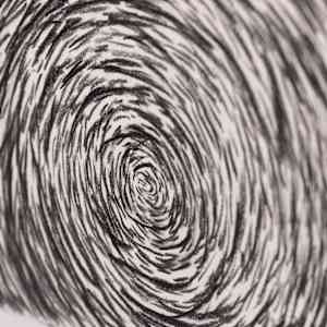 Spiral by Jo Davis, Image 5.