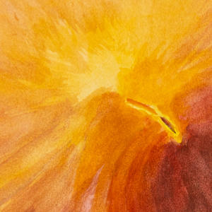 Anemone by Jo Davis, Image 2.