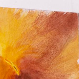 Anemone by Jo Davis, Image 3.