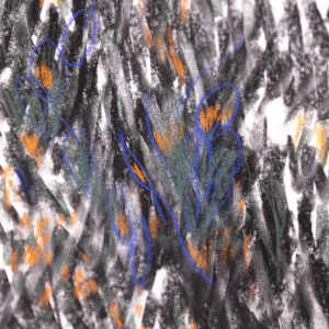 Embers by Jo Davis, Image 2.
