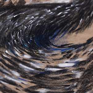 Flight by Jo Davis, Image 2.