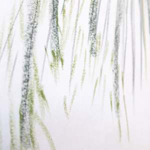 Humble Noble 2 by Jo Davis, Image 7.