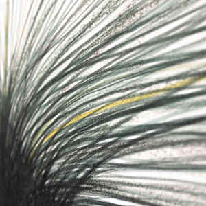 Humble Noble 2 by Jo Davis, Image 3.