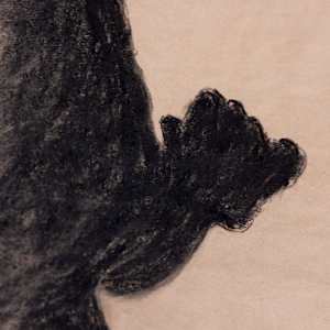Shadow by Jo Davis, Image 3.