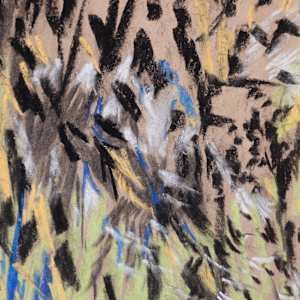 Spring by Jo Davis, Image 5.