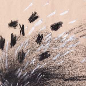 Storm by Jo Davis, Image 4.