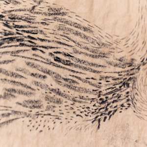 Surge by Jo Davis, Image 3.