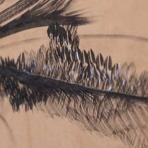 Expression by Jo Davis, Image 2.