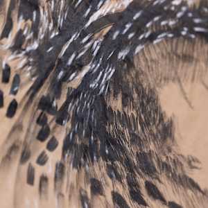 Expression by Jo Davis, Image 3.