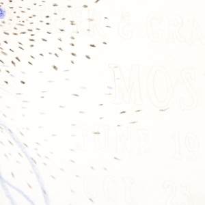 Kaddish by Jo Davis, Image 5.