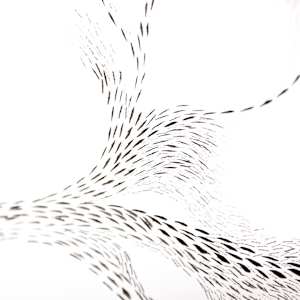 Simply Simmon's 1/4 Angle Flow 1 by Jo Davis, Image 3.